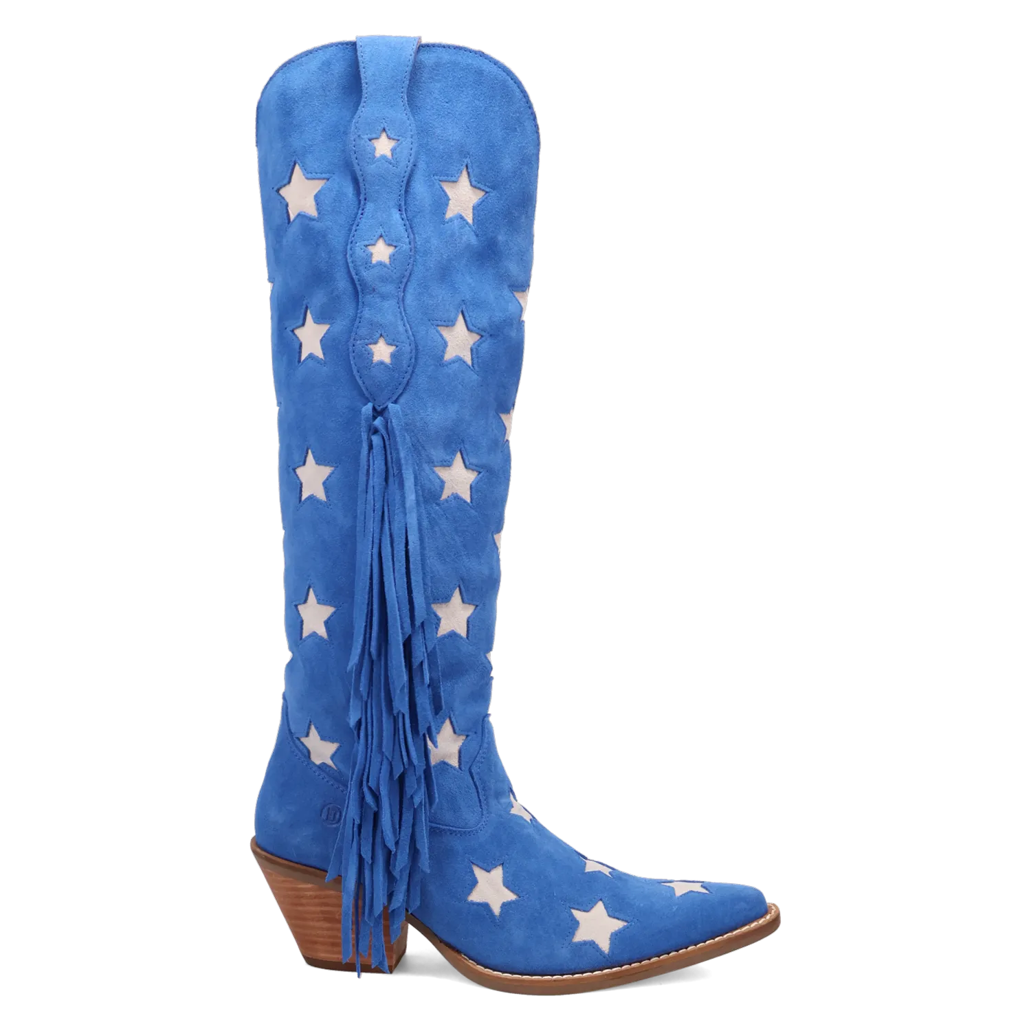 Super Star Suede Boot